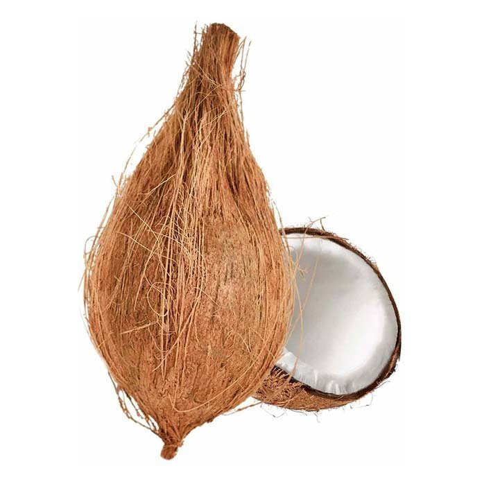 Pooja Coconut- 1 stk