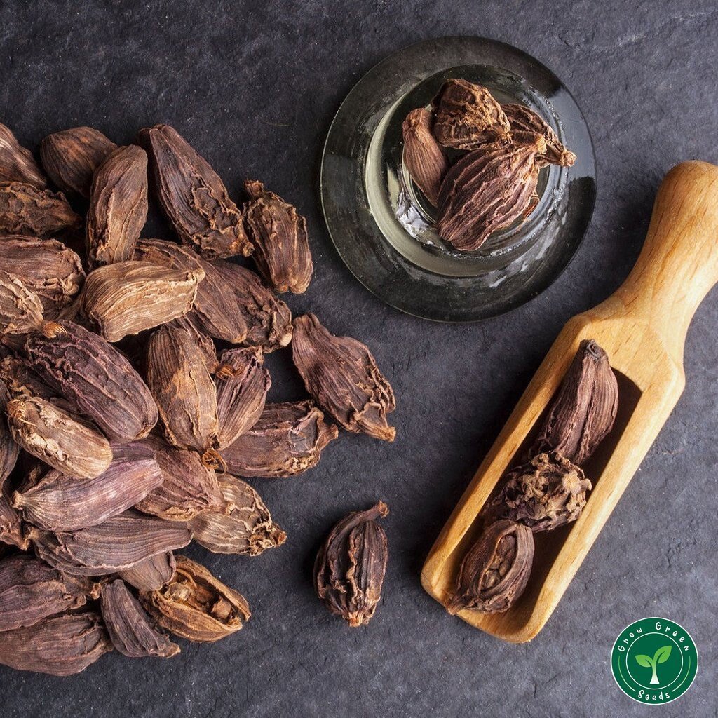 Black Cardamom, Heera-50 gm