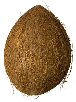 Pooja Coconut
