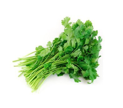 Coriander - 1 stk