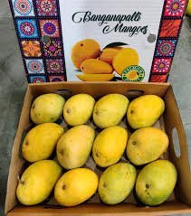 Badam, Banganapalli mangoes- 1 box(8-10pcs)