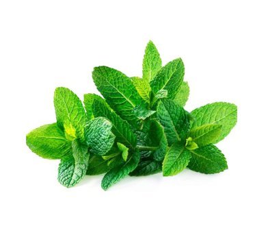 Mint - 1 stk