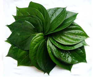 Beetel Leaves(1pc)
