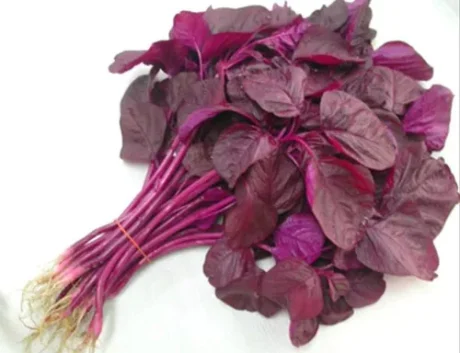 Red Spinach(Laal Saag) - 1pack