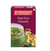 Everest pani puri 50g