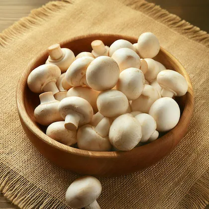 Mushroom-500Gm
