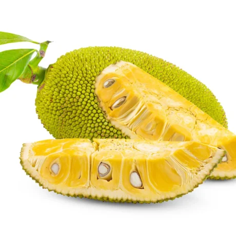 Jackfruit-1Kg