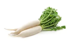 Radish-1Stk