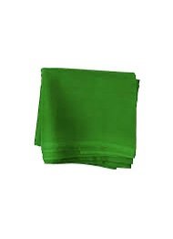 Blouse piece for pooja -Green